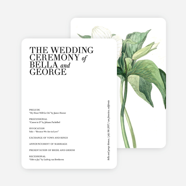 Botanical Bliss Wedding Programs - Black