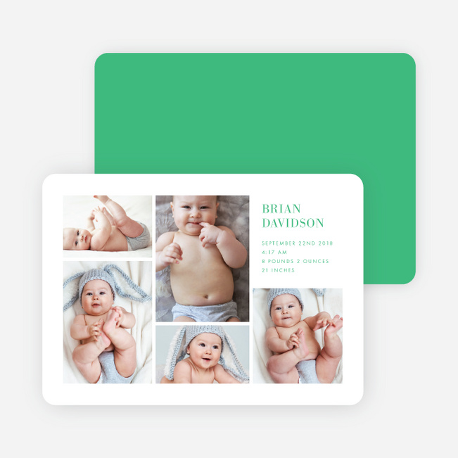 Photo Abundance - Green