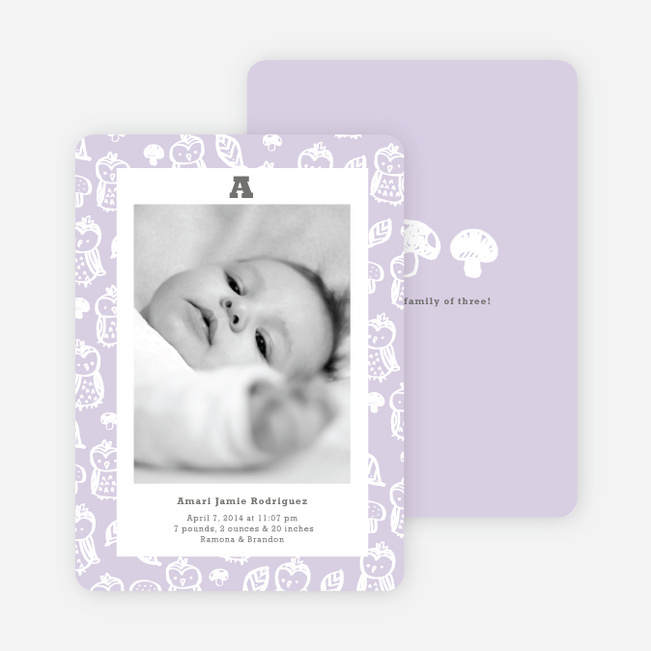 Framed Owl Birth Announcements - Fresh Lavender