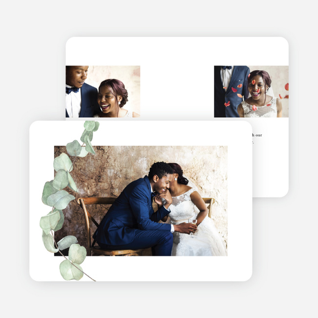 Eucalyptus Flourish Multi Photo Holiday Cards - Black