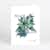 Detailed Poinsettia Business and Corporate Holiday Cards - Multi