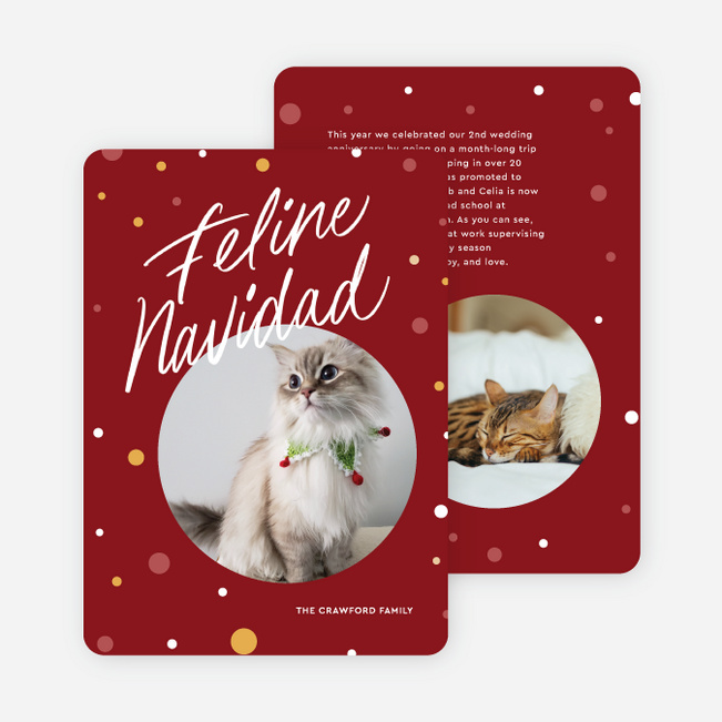 Feline Navidad Holiday Cards and Invitations - Red
