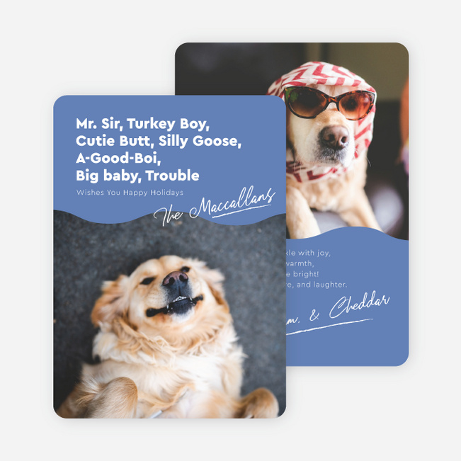 Menagerie of Mischief Holiday Cards and Invitations - Blue