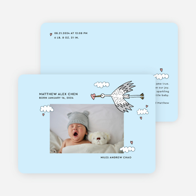 Stork Package Birth Announcements - Blue