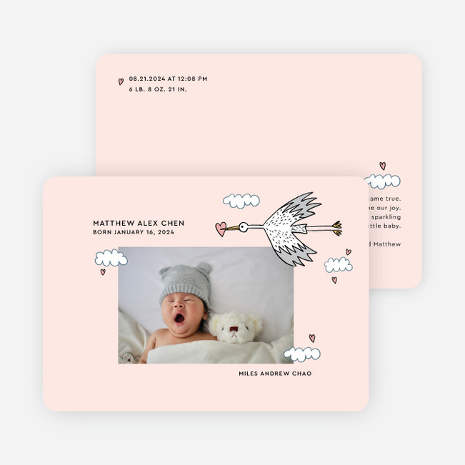 Stork Package Birth Announcements - Pink