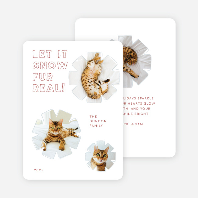 Fur Real Flurries Holiday Cards and Invitations - Red