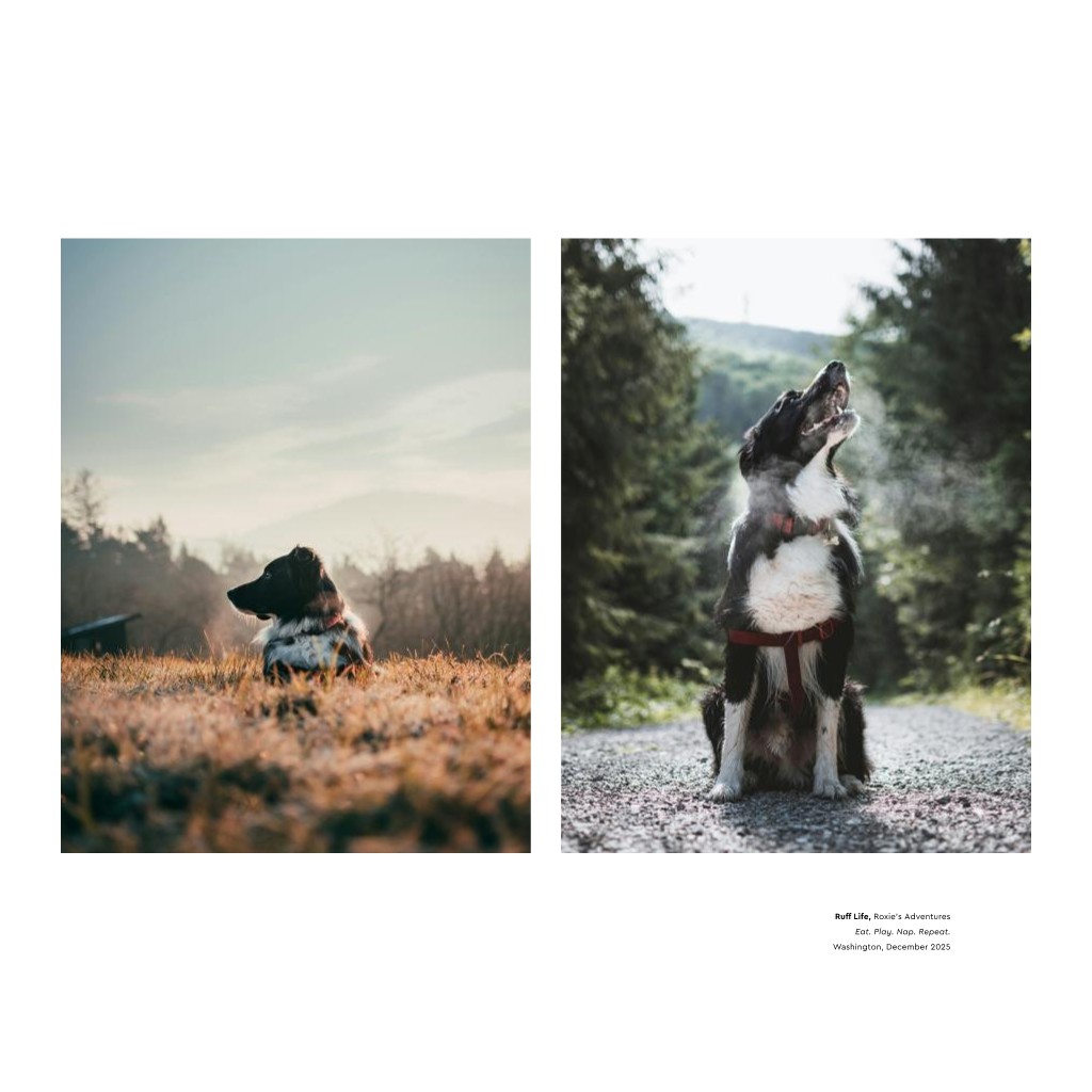 Best in Show - White