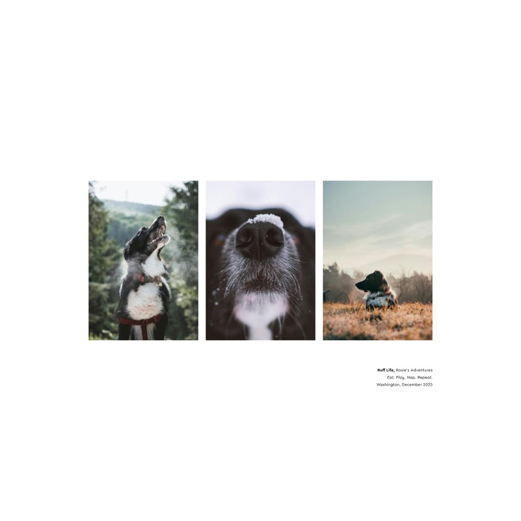 Best in Show - White