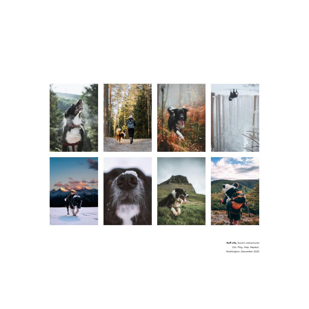 Best in Show - White