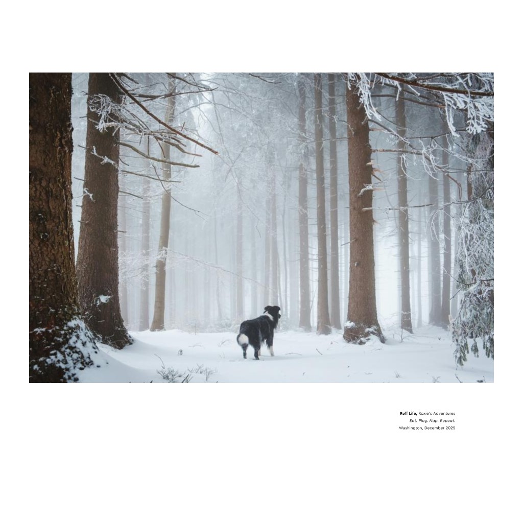 Best in Show - White