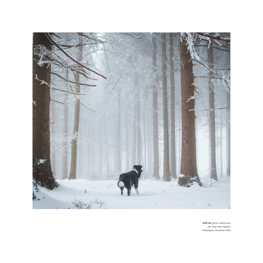 Best in Show - White