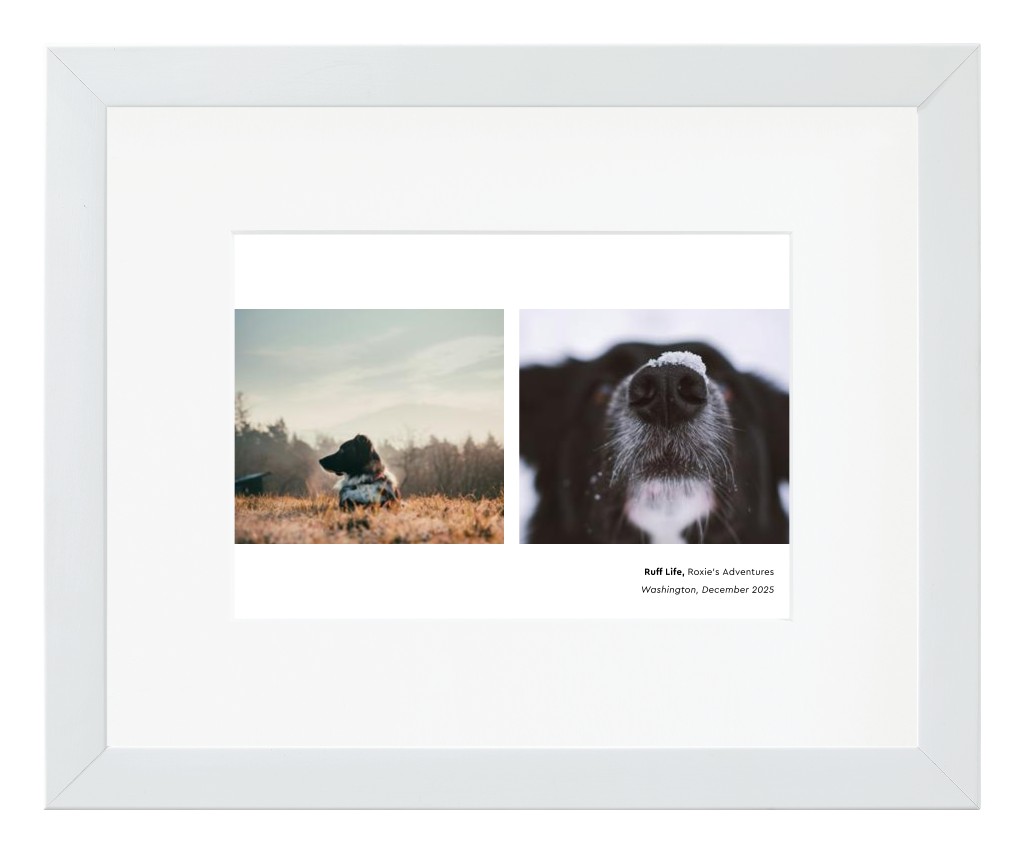 Best in Show - White