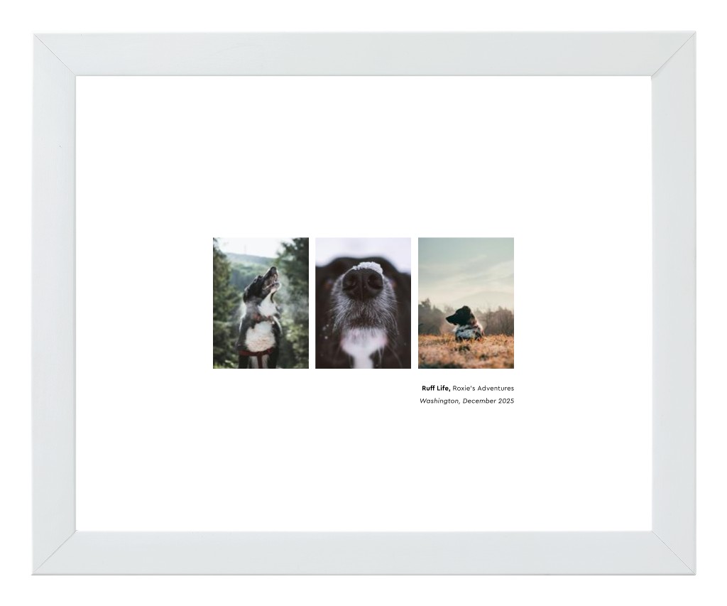 Best in Show - White