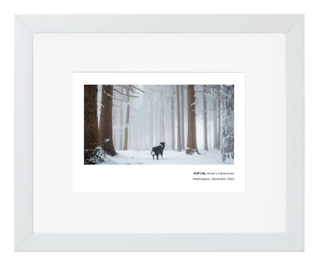 Best in Show - White