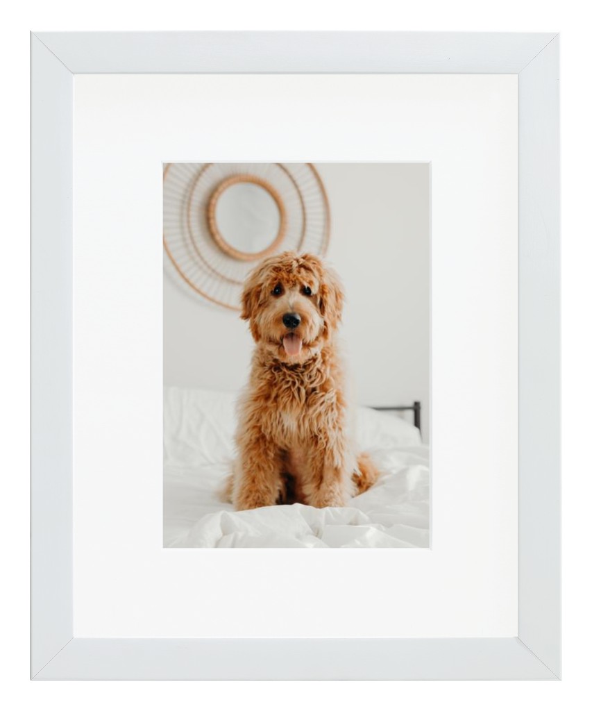 Simply Photo: Pet, 8” x 10” Framed Print with Mat - White