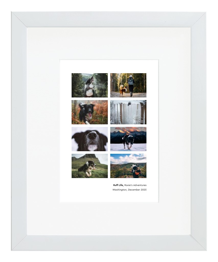 Best in Show - White