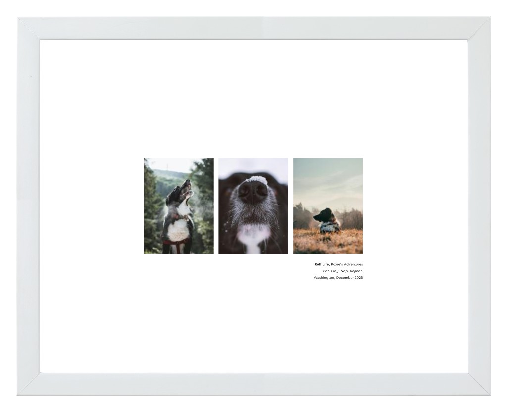 Best in Show - White