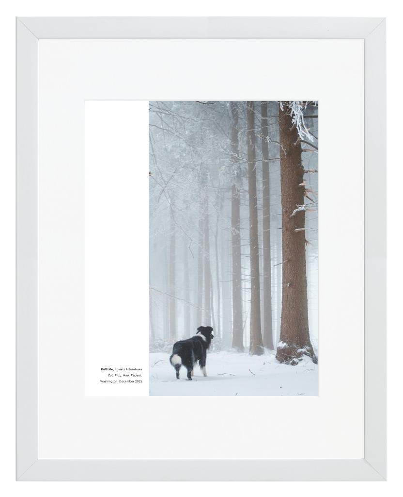 Best in Show - White