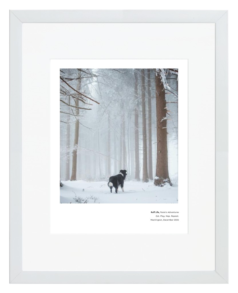 Best in Show Pet 11” x 14” Framed Print with Mat - White