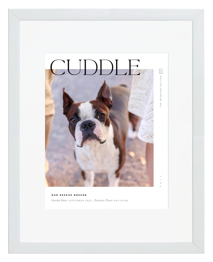 Cover Story Pet 11” x 14” Framed Print with Mat - White