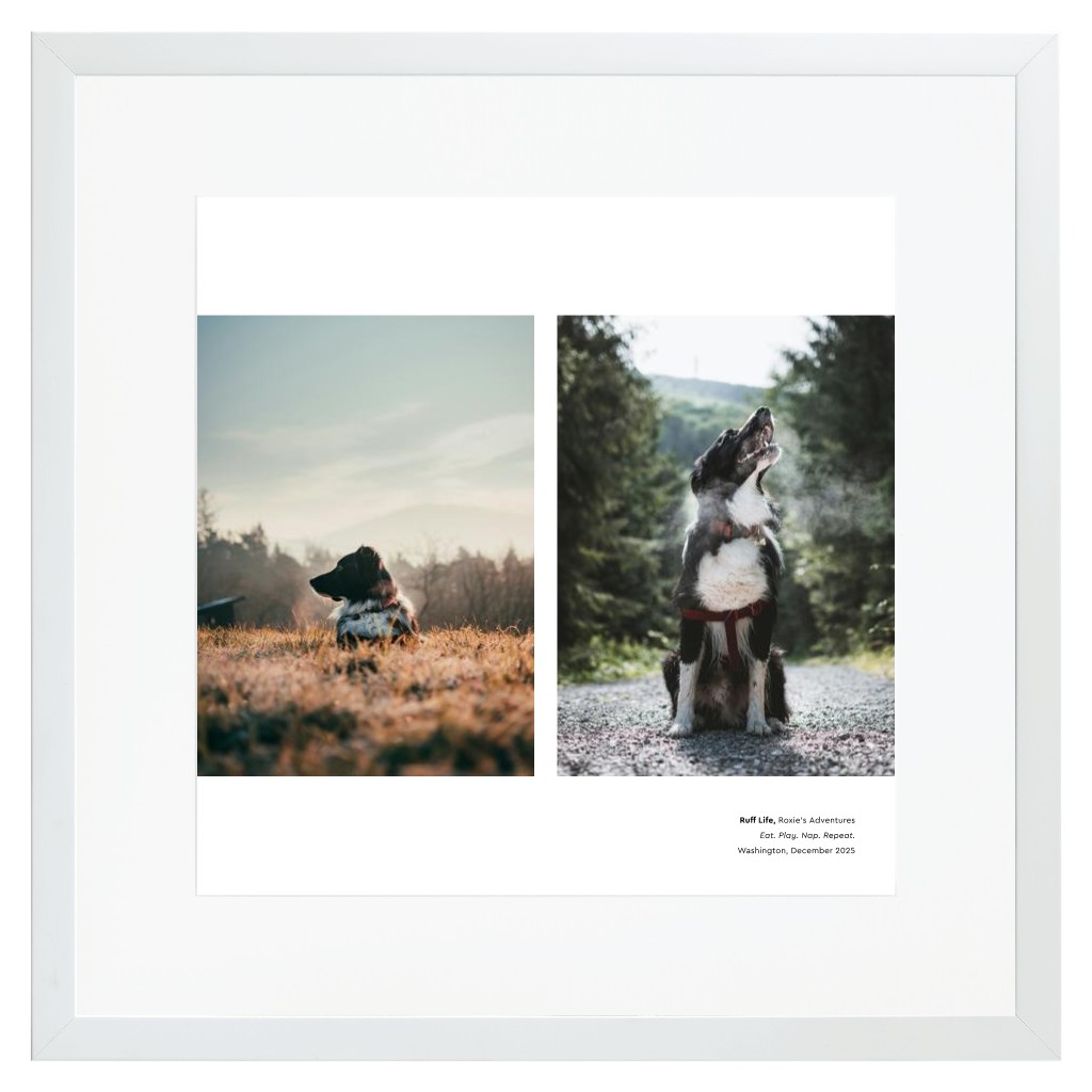 Best in Show - White