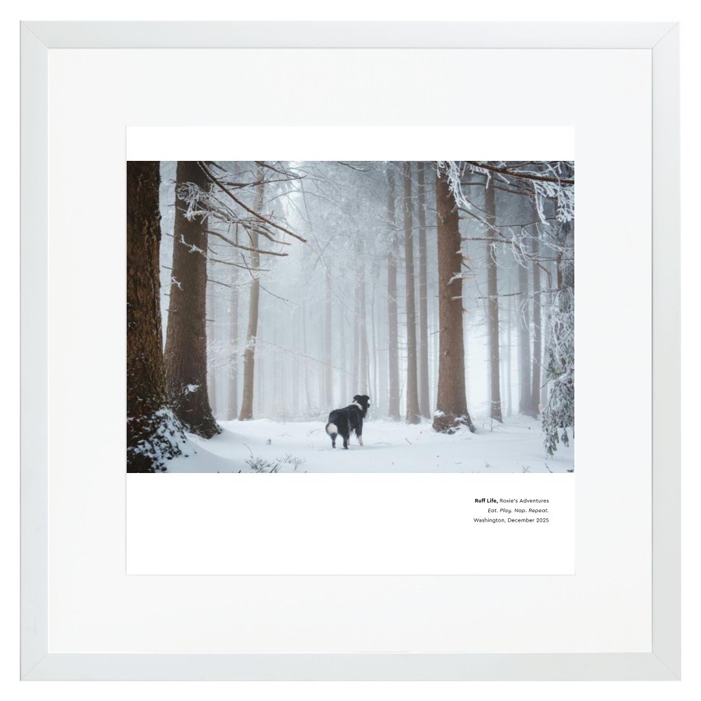 Best in Show - White