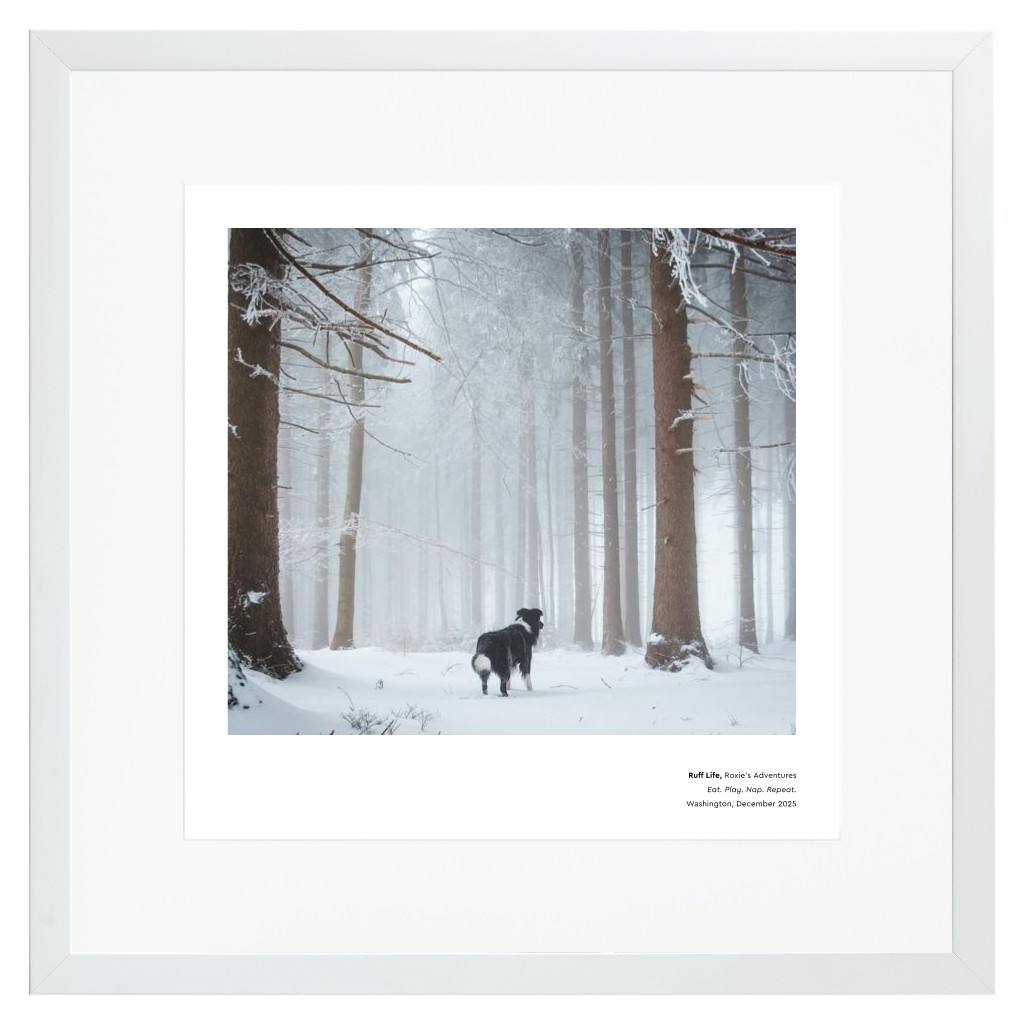 Best in Show - White