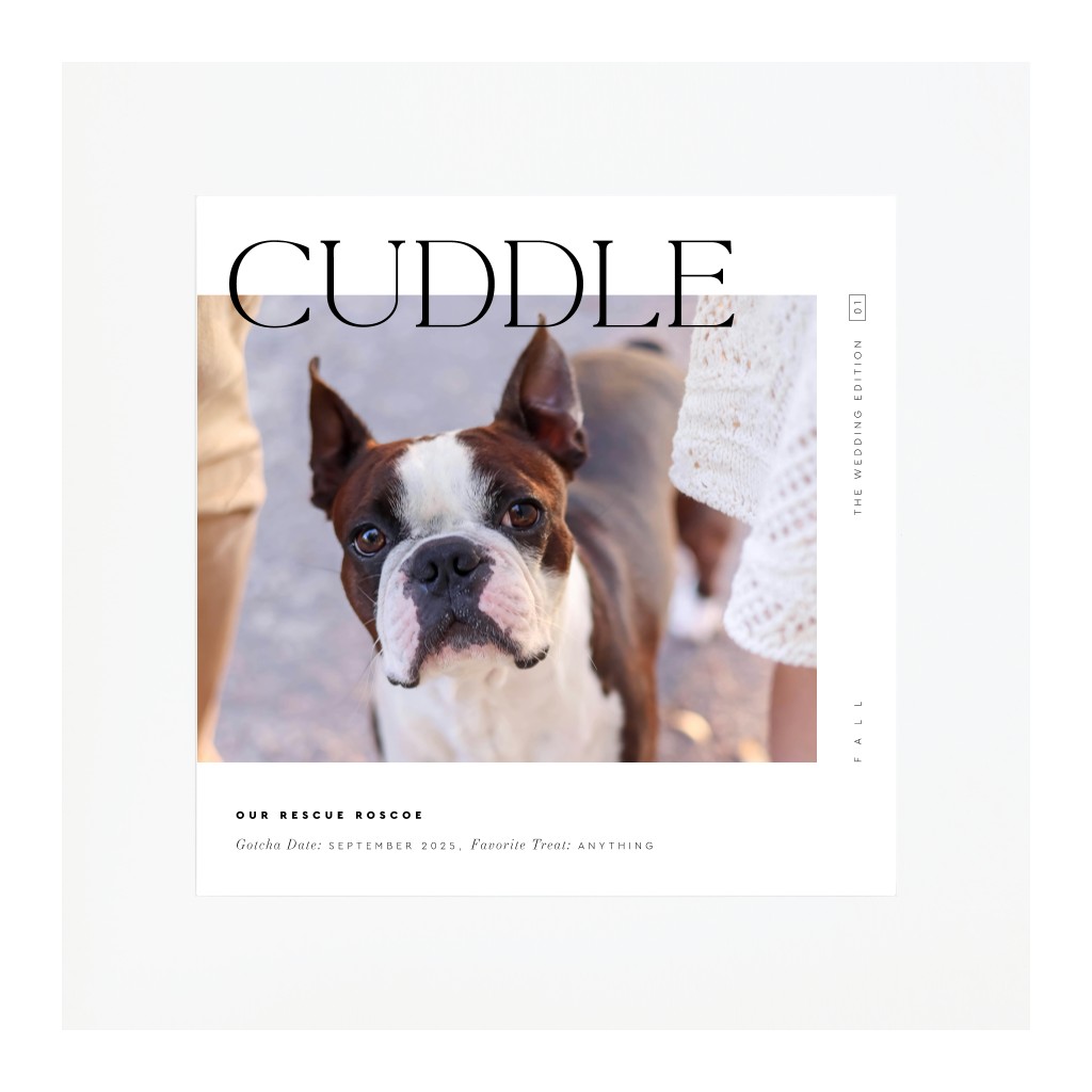 Cover Story Pet 16” x 16” Framed Print with Mat - White