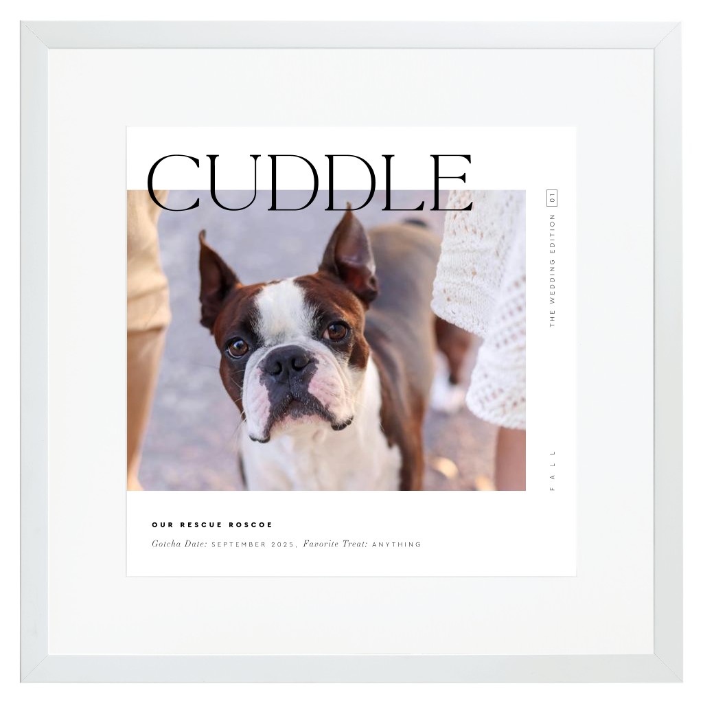 Cover Story Pet 16” x 16” Framed Print with Mat - White