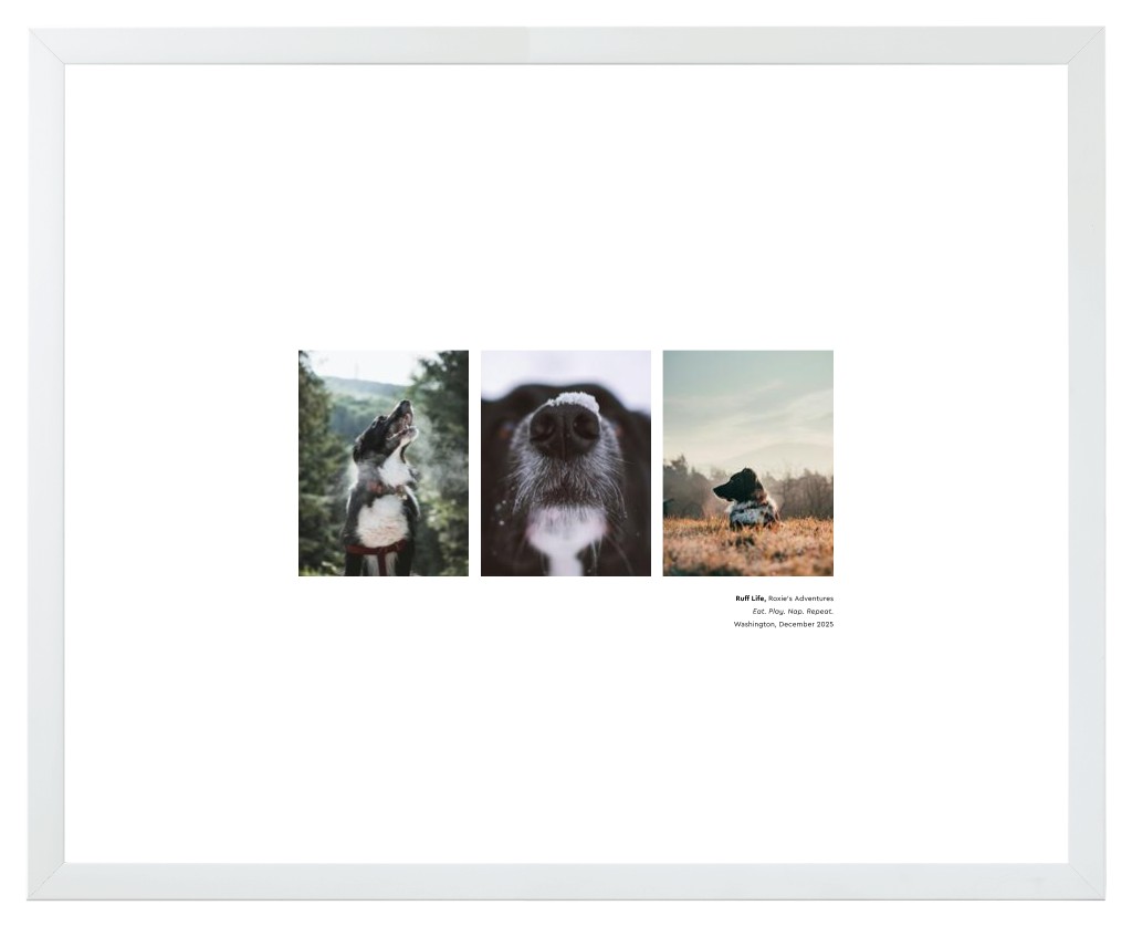 Best in Show - White