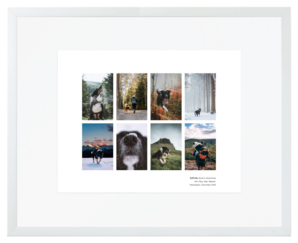 Best in Show - White