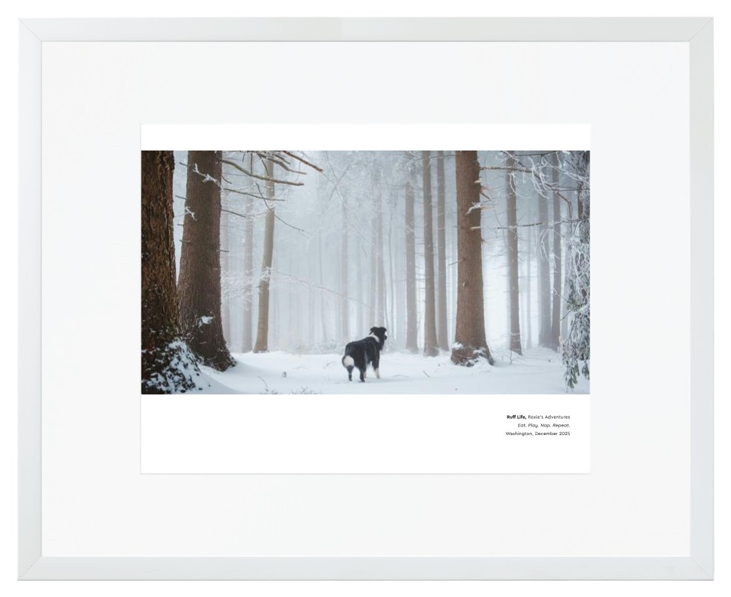 Best in Show - White