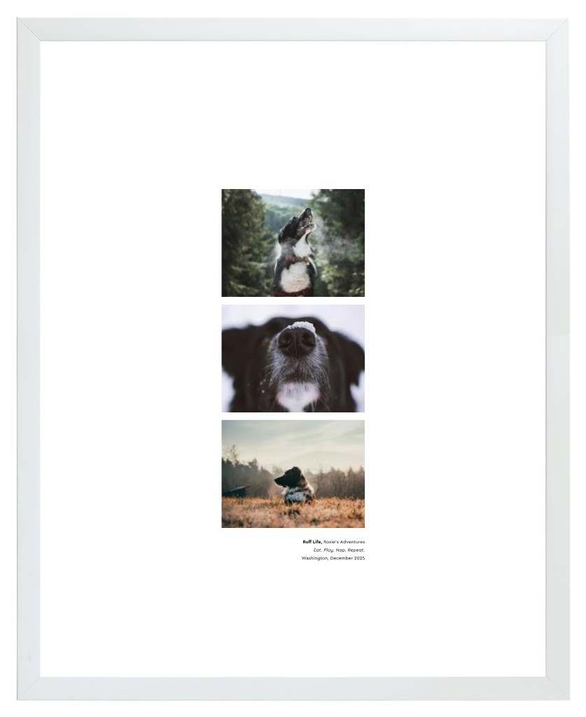 Best in Show - White