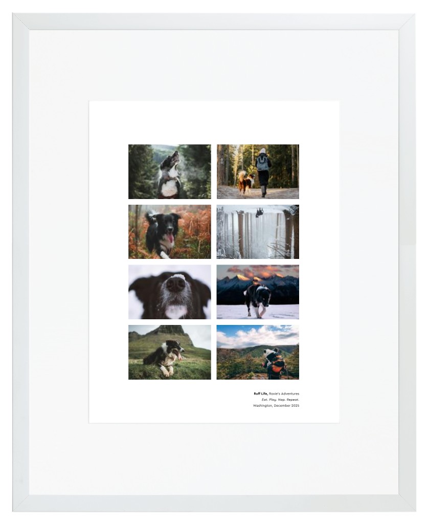 Best in Show - White