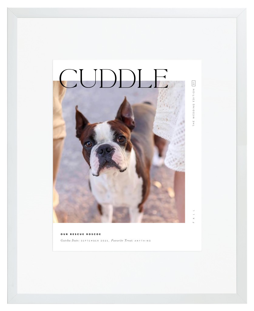 Cover Story Pet 16” x 20” Framed Print with Mat - White