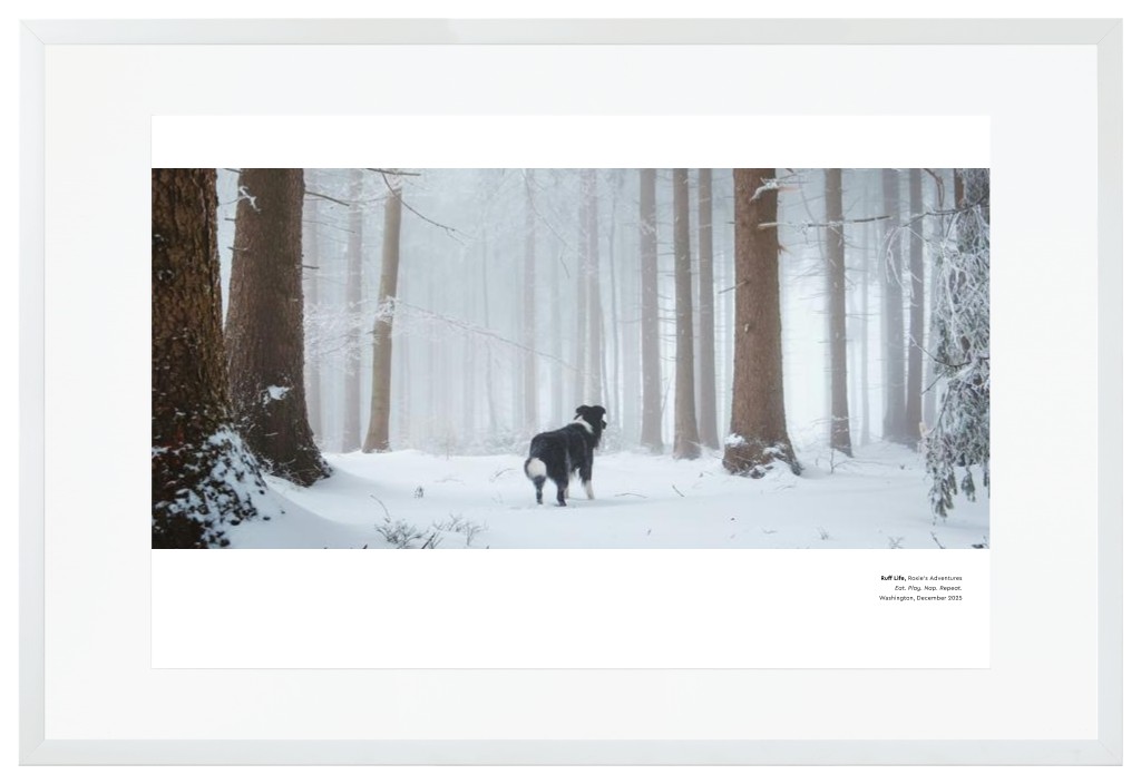 Best in Show - White