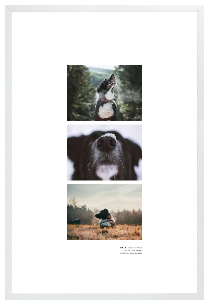 Best in Show - White