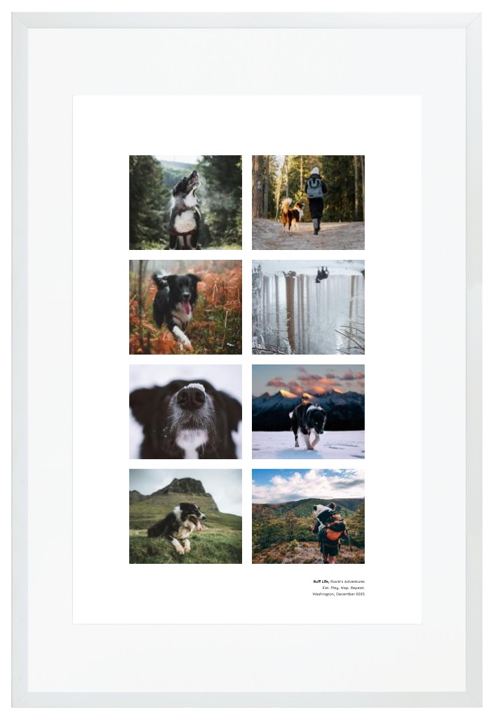 Best in Show - White