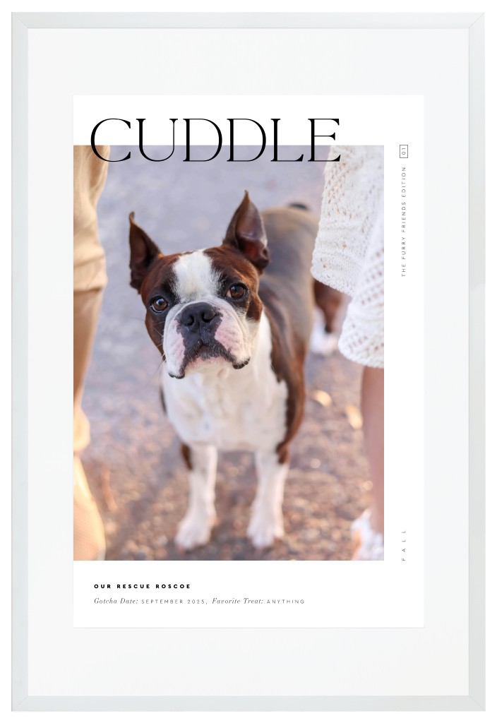 Cover Story Pet 20” x 30” Framed Print with Mat - White