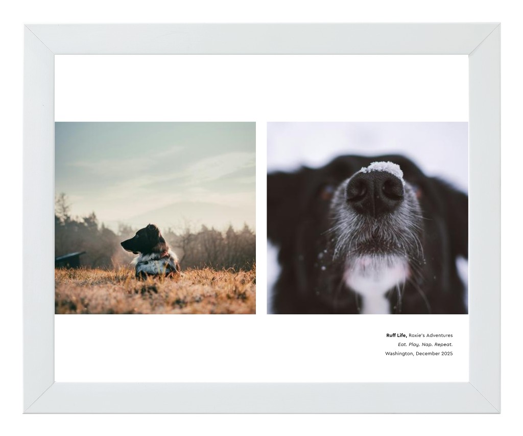 Best in Show - White