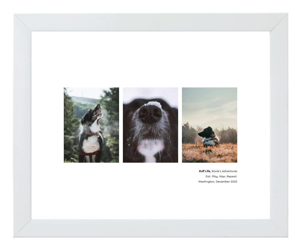 Best in Show - White