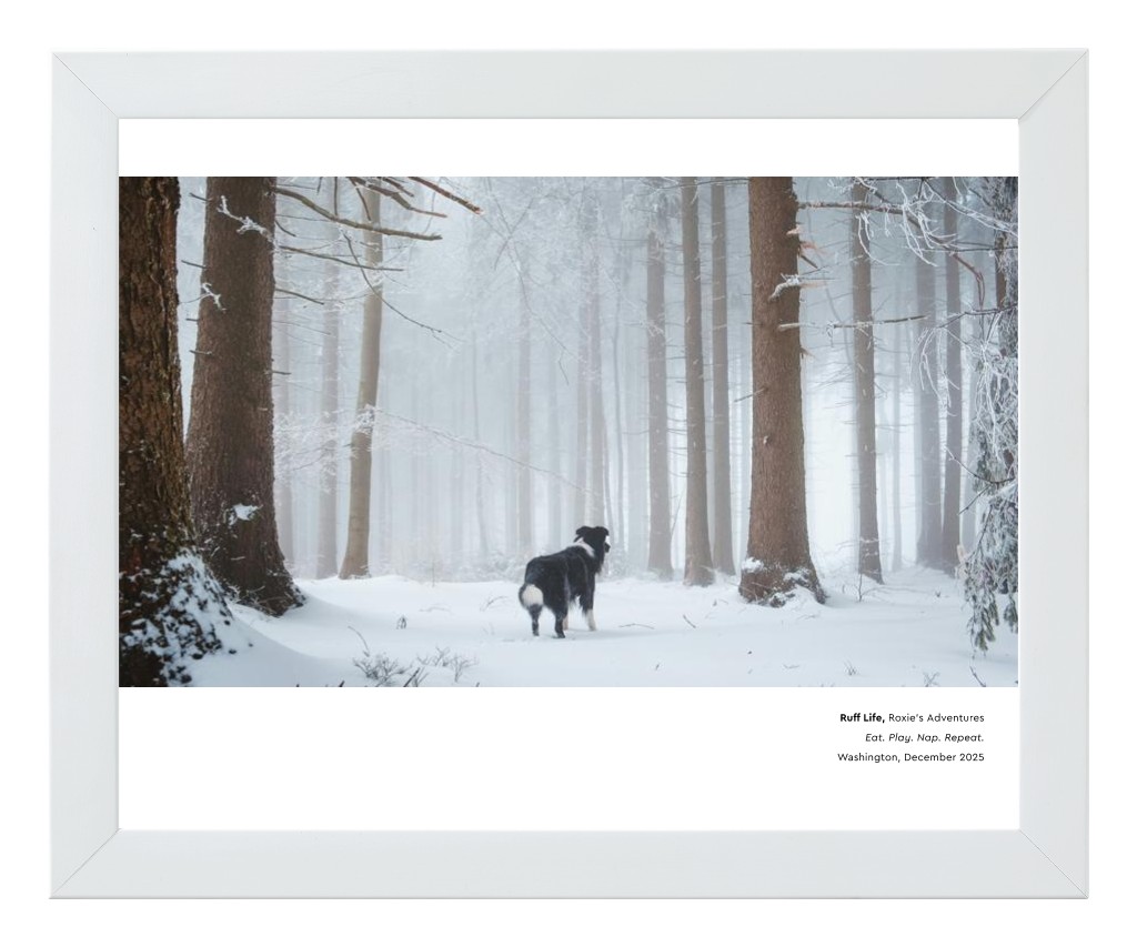 Best in Show - White