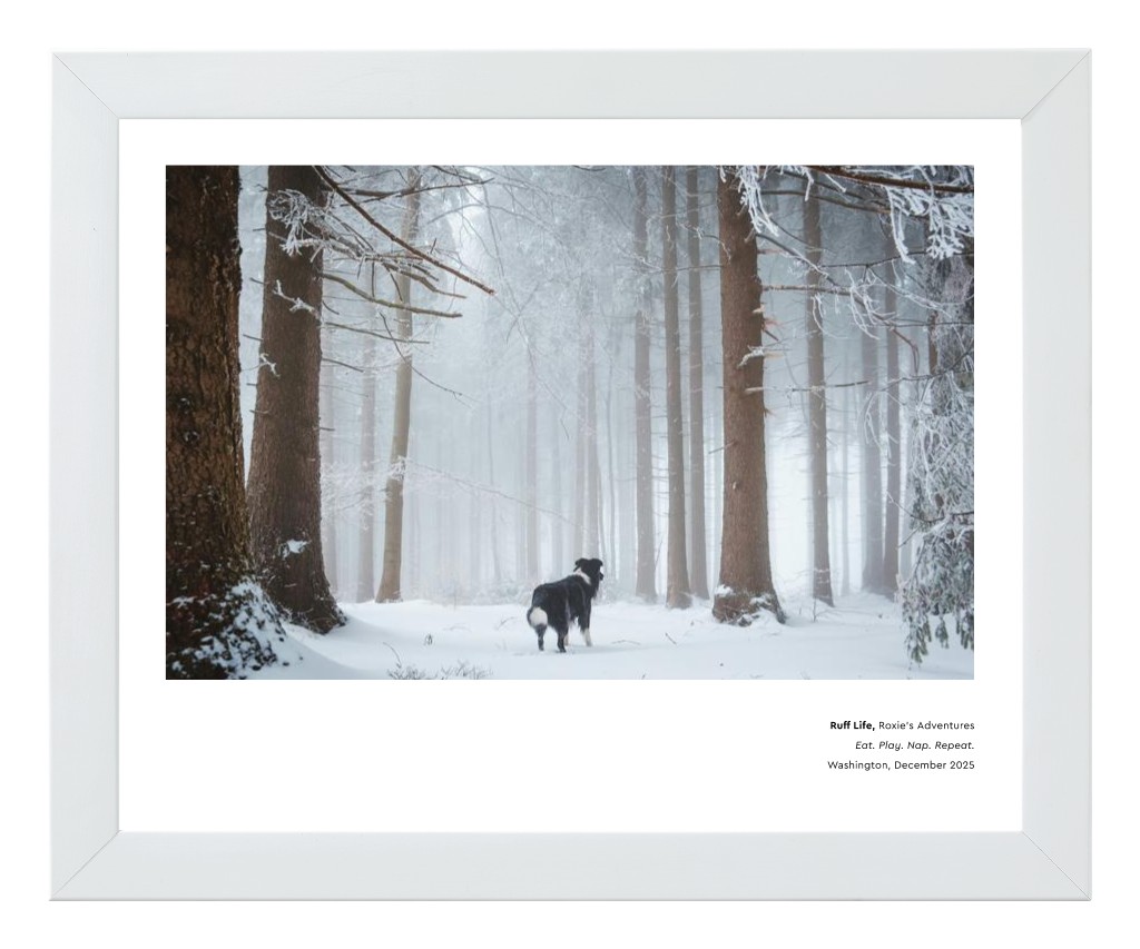 Best in Show - White