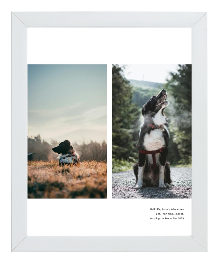 Best in Show - White