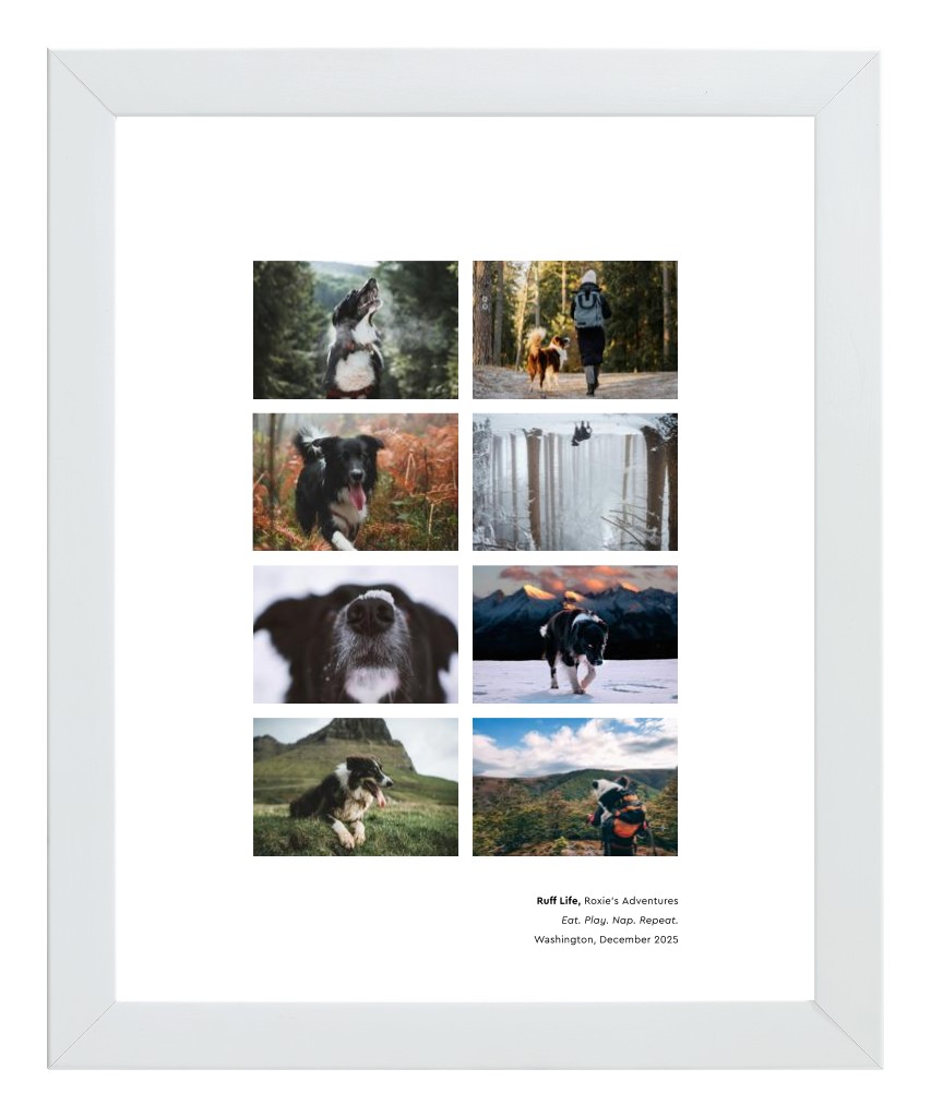 Best in Show - White