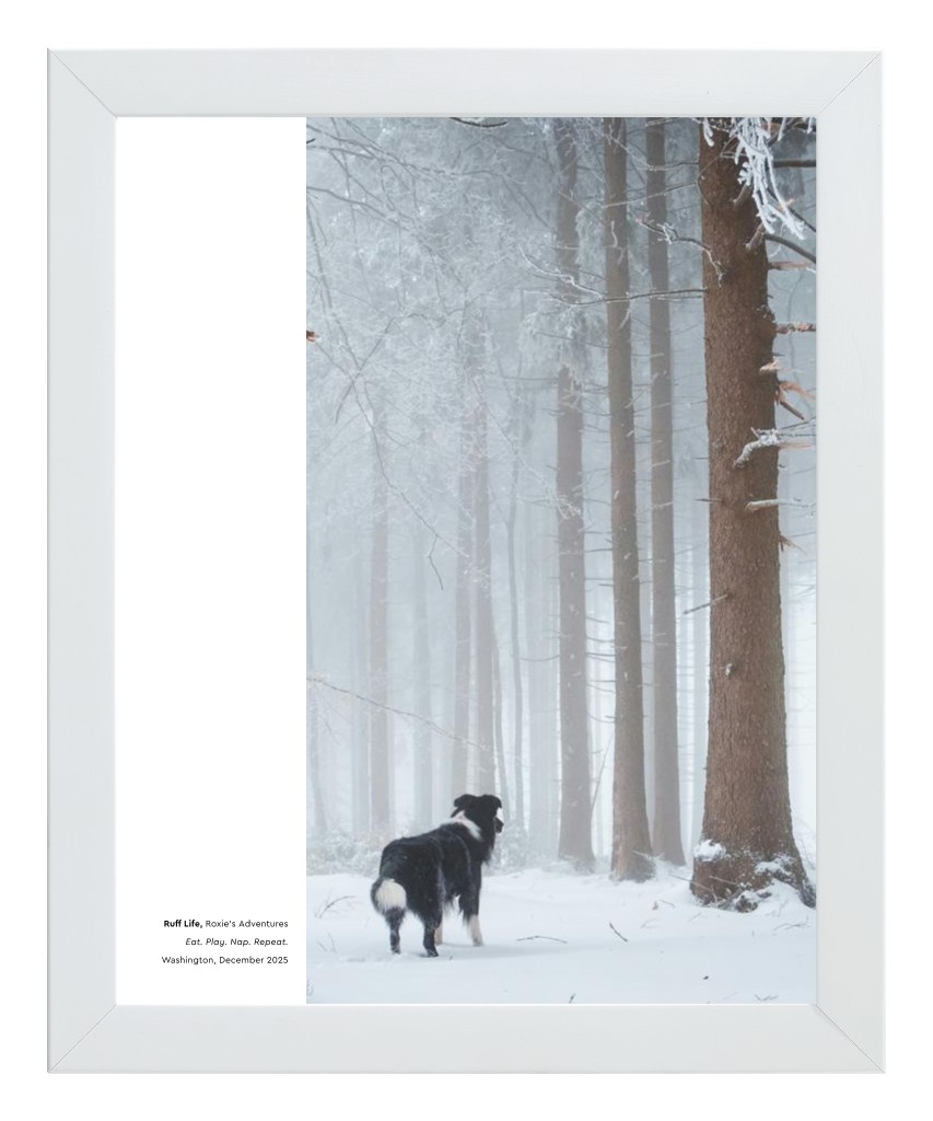 Best in Show - White