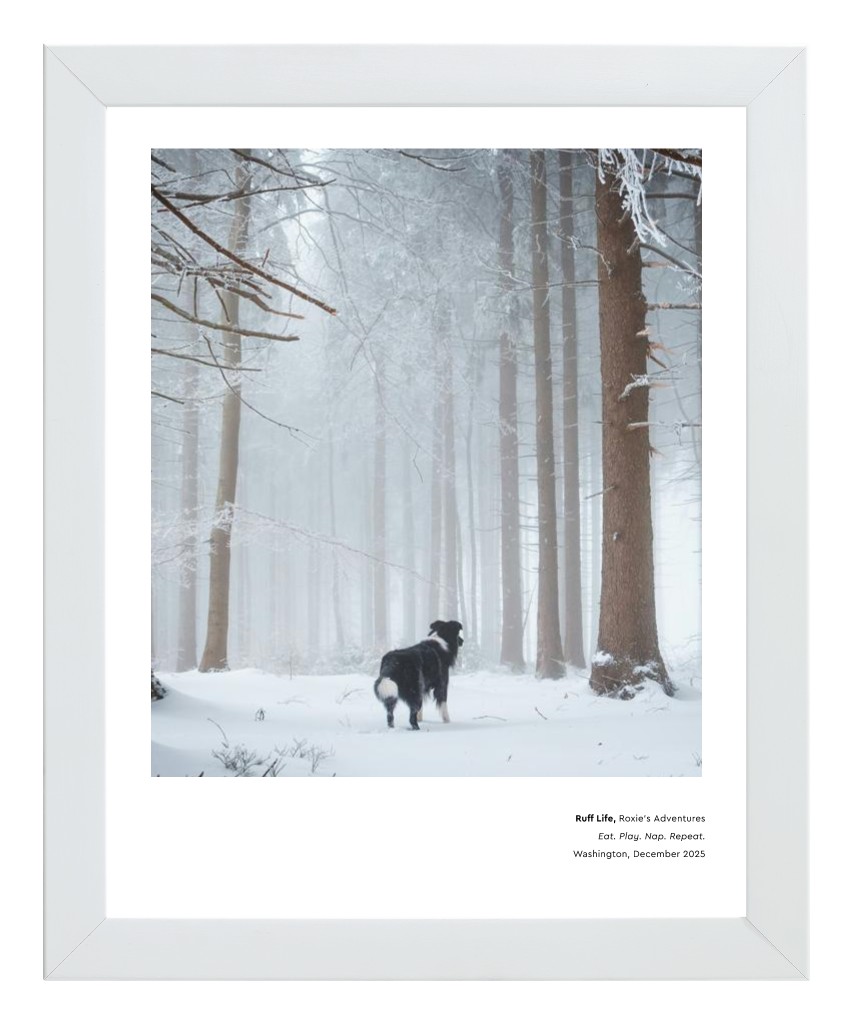 Best in Show - White