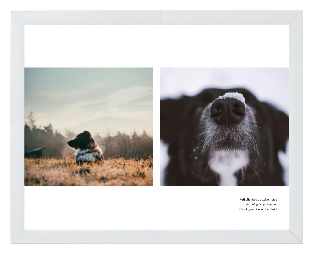 Best in Show - White