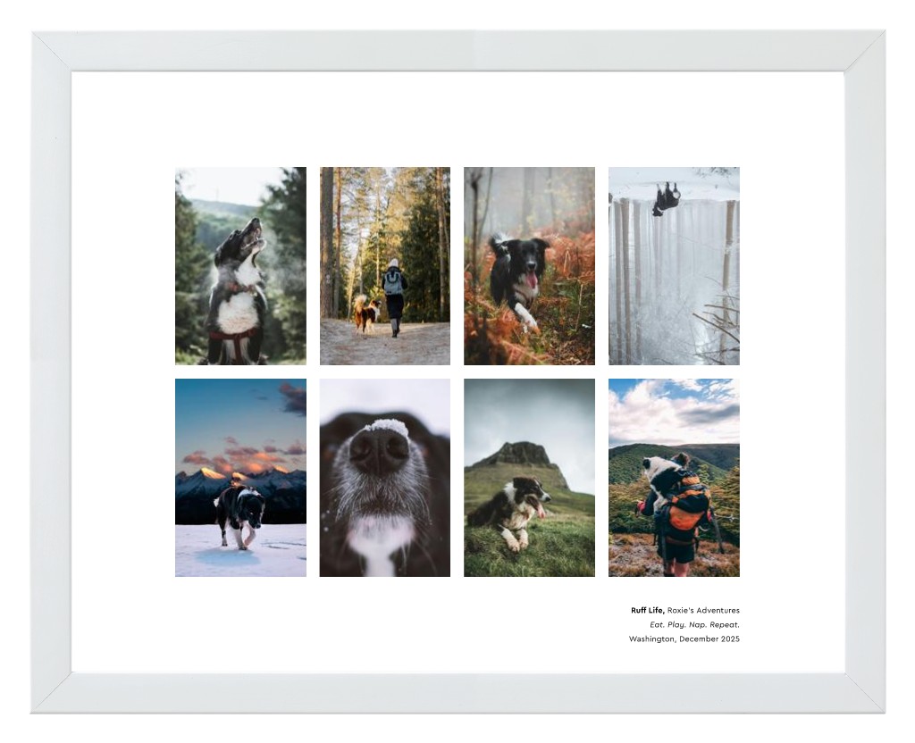 Best in Show - White