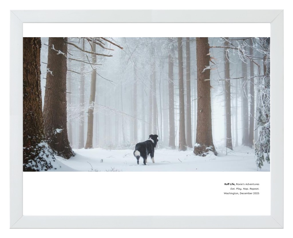 Best in Show - White